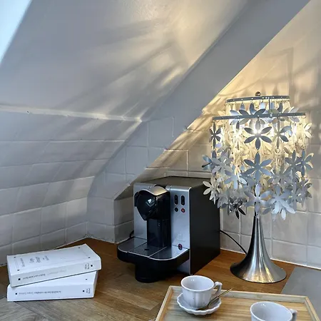 Unique & Beautiful Duplex In Saint-germain