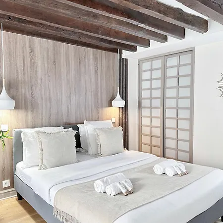 Unique & Beautiful Duplex In Saint-germain *